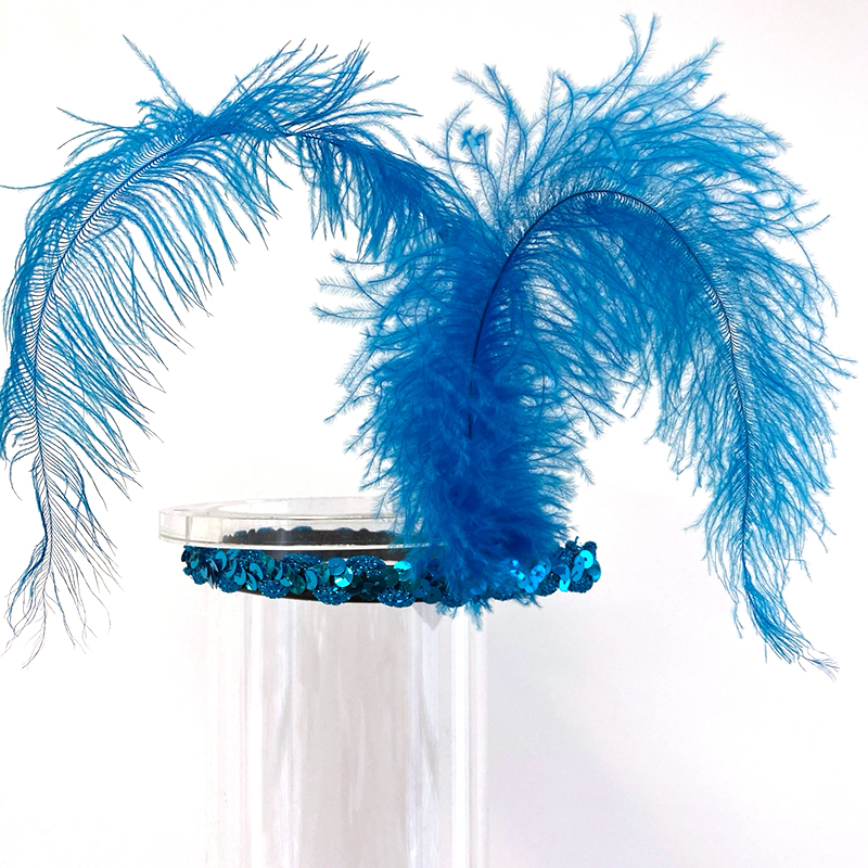 Feder-Stirnreif – Bild 3