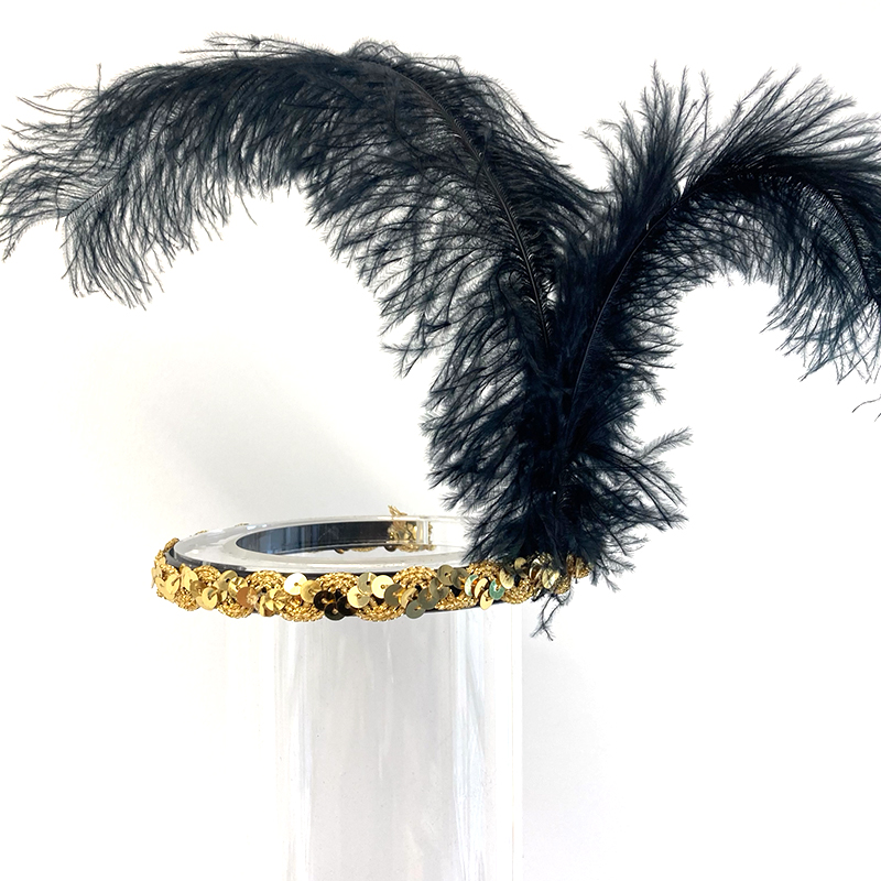 Feder-Stirnreif – Bild 5