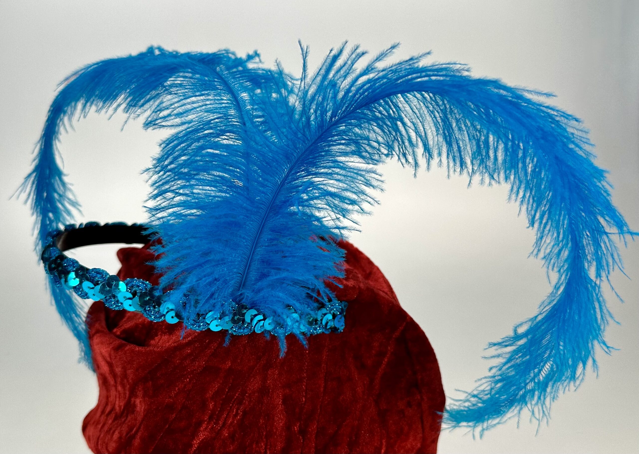 Feder-Stirnreif – Bild 2