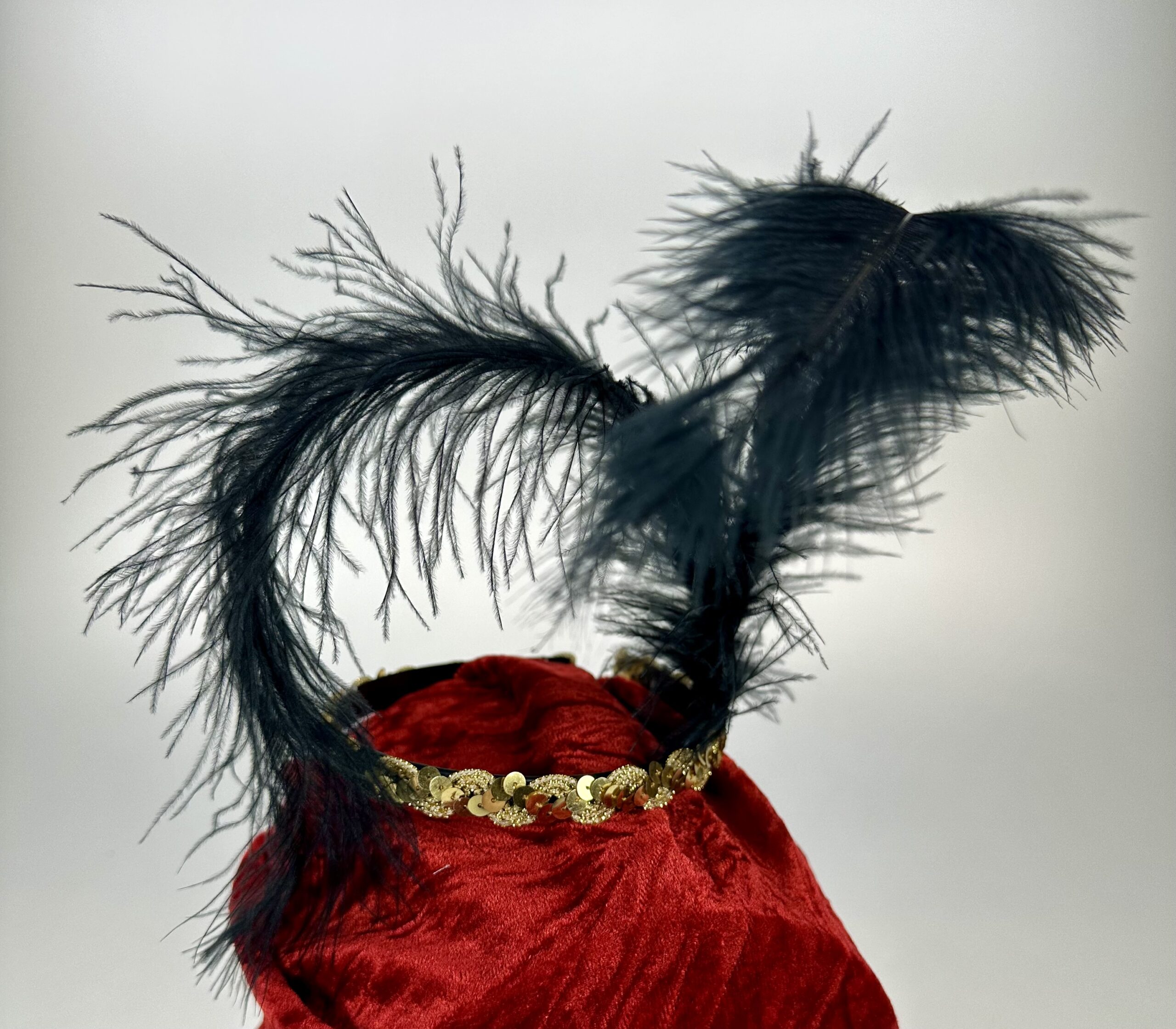 Feder-Stirnreif – Bild 4